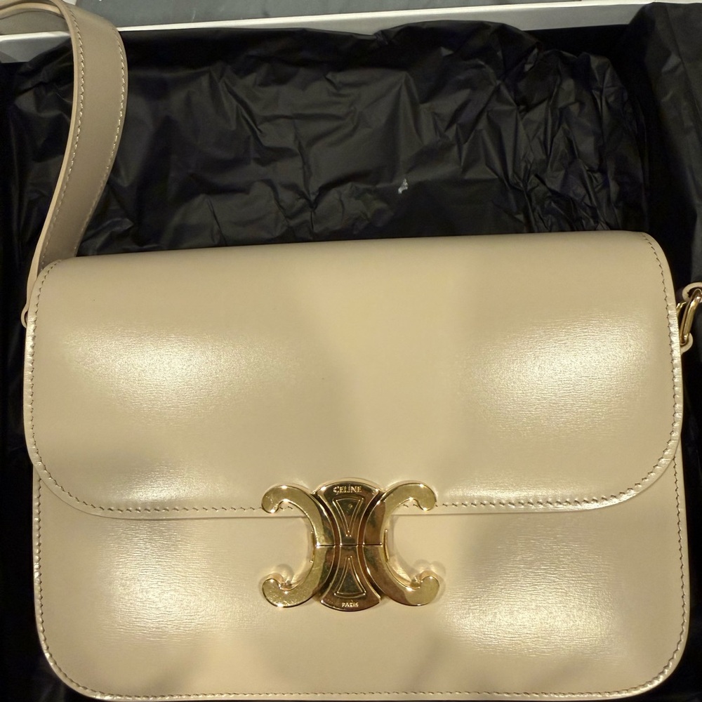Celine Triomphe Bag in Shiny Calfskin - Picture 7 of 16